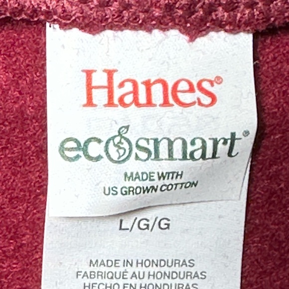 Hanes sweatshirt‎ Burgundy Gold hail RedSkins Washington Football Hoodie L NIB - Picture 6 of 14